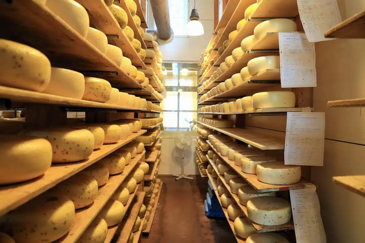 Temperatura, taglio e abbinamenti: i segreti per gustare il formaggio al meglio 1